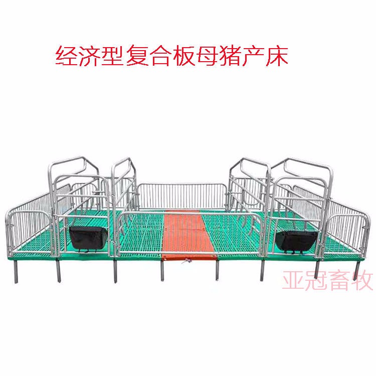 厂家生产耐用型母猪产床 亚冠YG-1 专业品质 母猪分娩栏 双体母猪产床