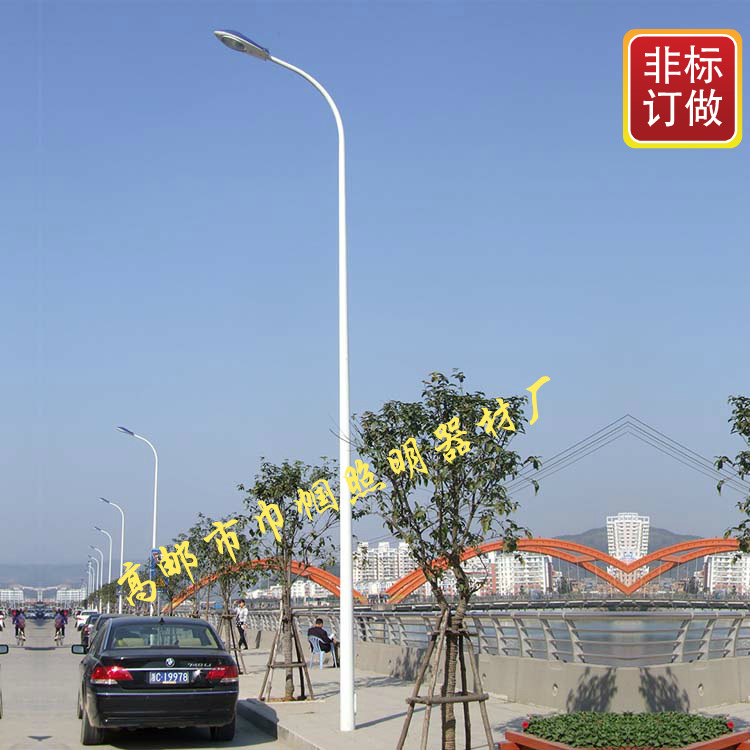 定制10m灯杆 道路 工业小区 厂区 公园 小区 广场照明灯杆