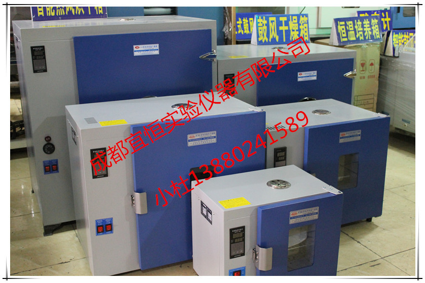 四川电热鼓风干燥箱 自贡工业专用干燥箱 德阳干燥箱批发公司示例图4