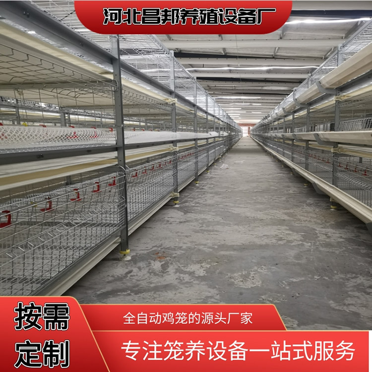 肉鸡笼厂家 鸡笼厂家 昌邦 肉鸡养殖笼 常年出售