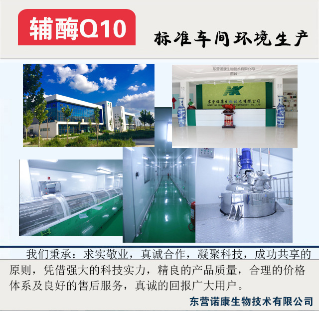 辅酶Q10软胶囊  增强 免疫力抗氧化 厂家直销代工 可贴牌代加工示例图16