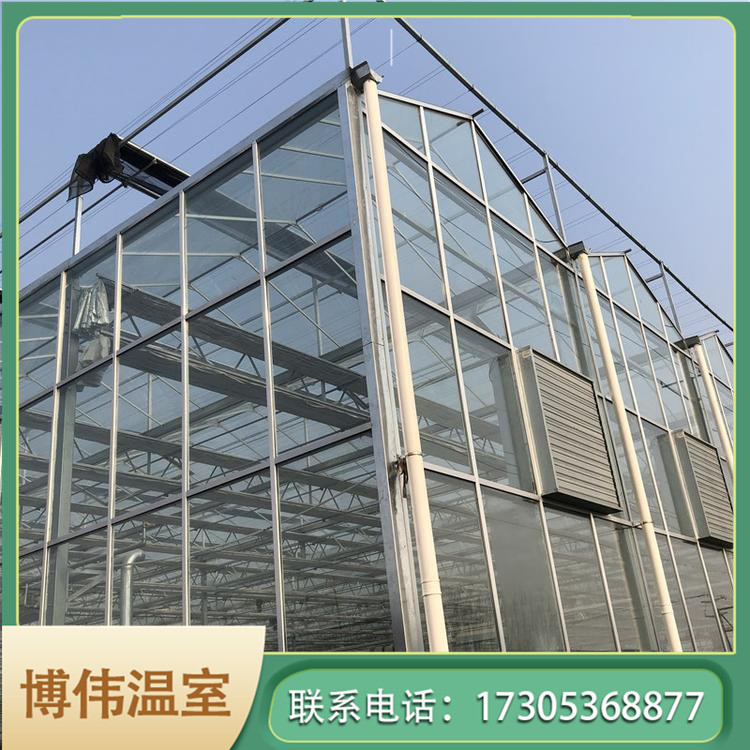 现代化温室大棚建造 锯齿型温室 玻璃连栋温室大棚 博伟 BW
