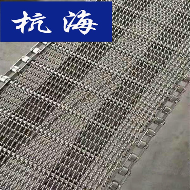 不锈钢网带 杭海机械 耐腐蚀网带制作厂家可定制