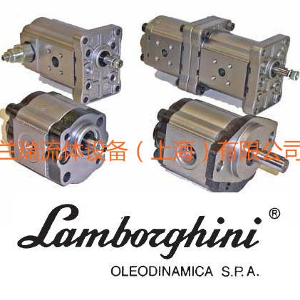 LAMBORGHINI齿轮泵代理