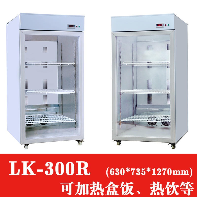 临沂商用热饮柜 绿科LK-300R热饮柜 大容量保温展示柜商用奶茶咖啡热饮柜图片