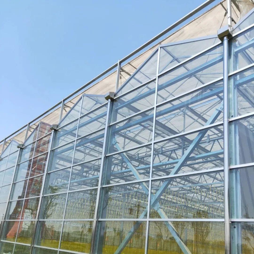 博伟 养殖大棚 玻璃温室大棚 温室大棚农业观光园