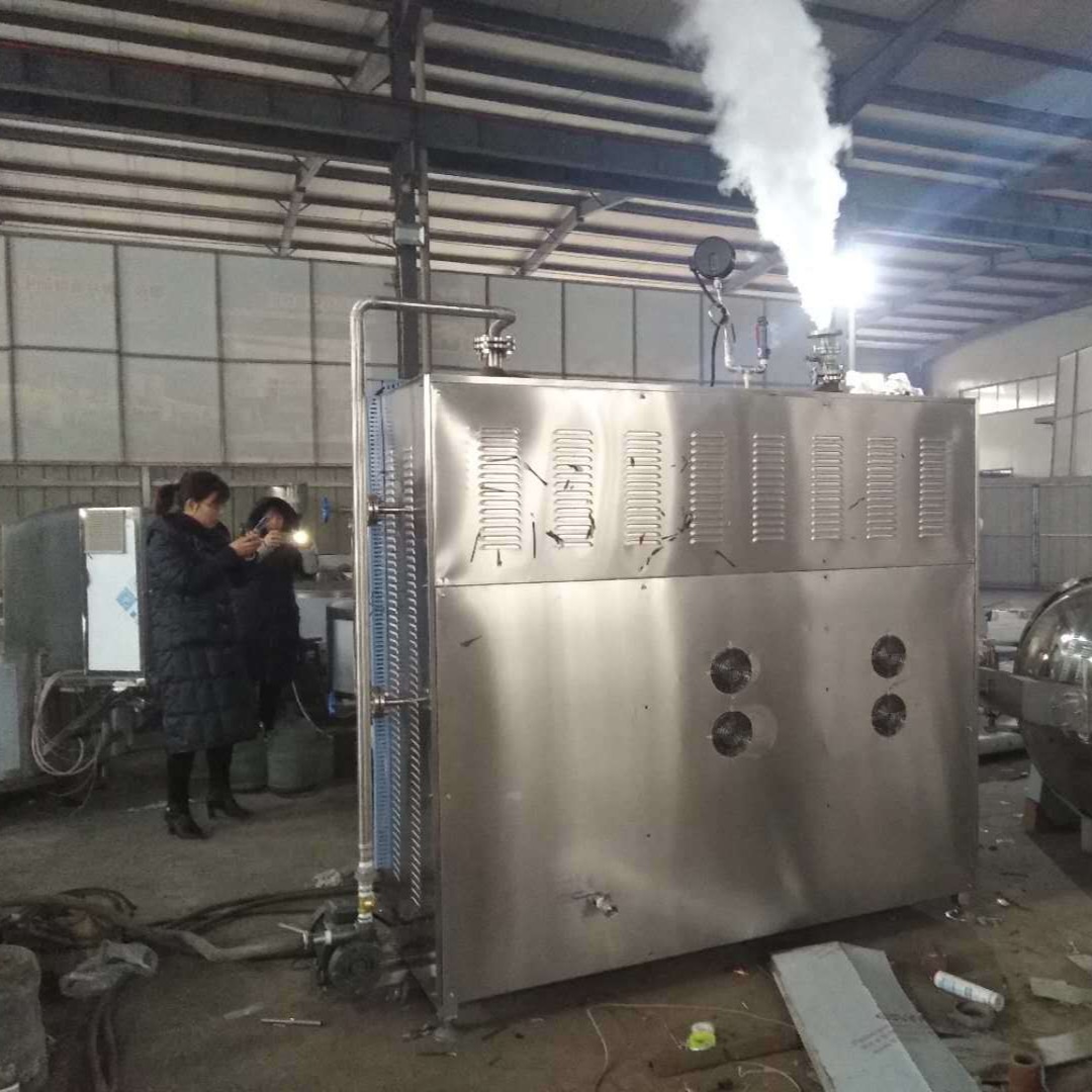 节能型锅炉 食品厂专用电磁蒸汽发生器