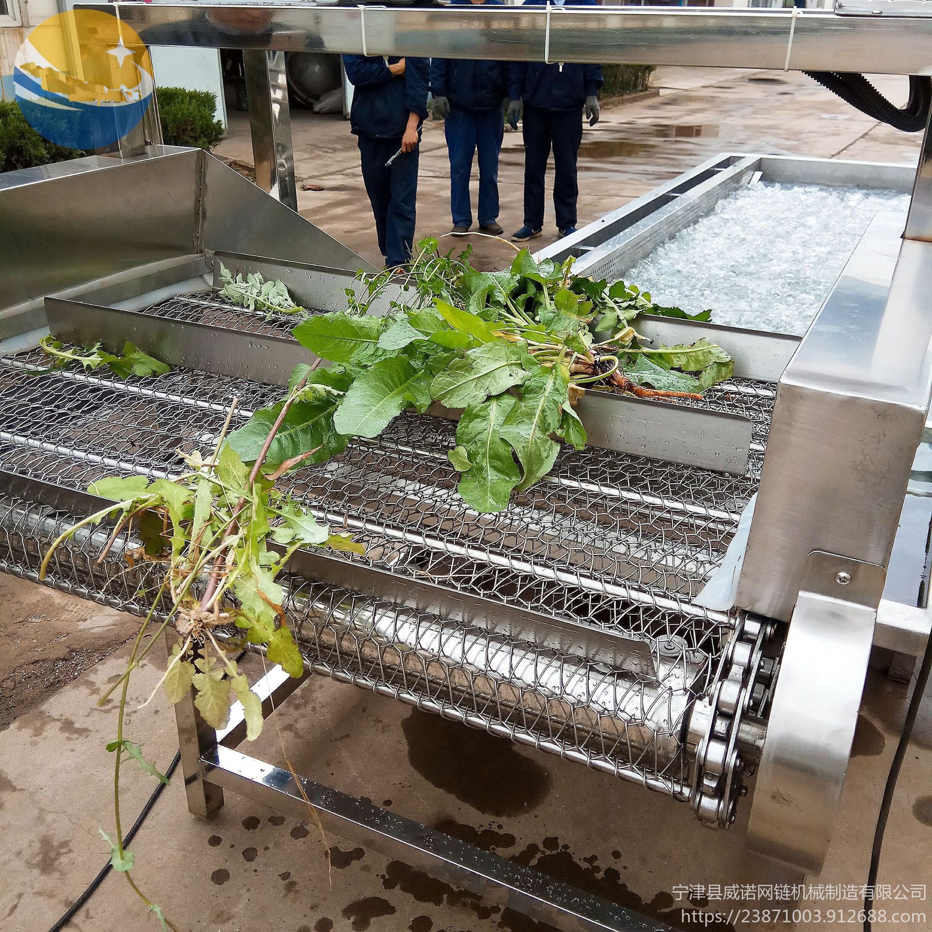 蔬菜清洗输送线 不锈钢网带式生产线 爬坡网带输送机厂家 威诺直销
