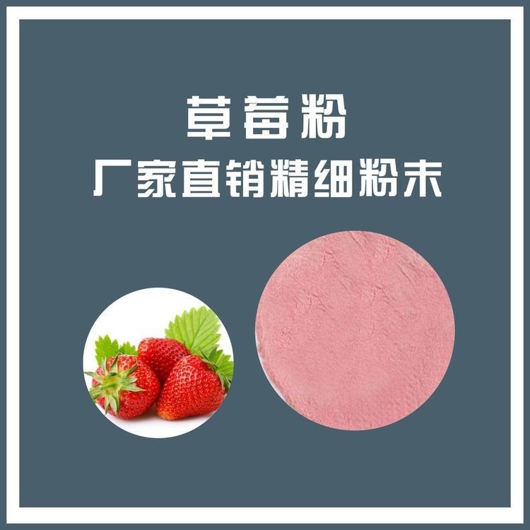 陕西新天域生物 草莓粉 草莓浓缩汁粉 厂家现货供应