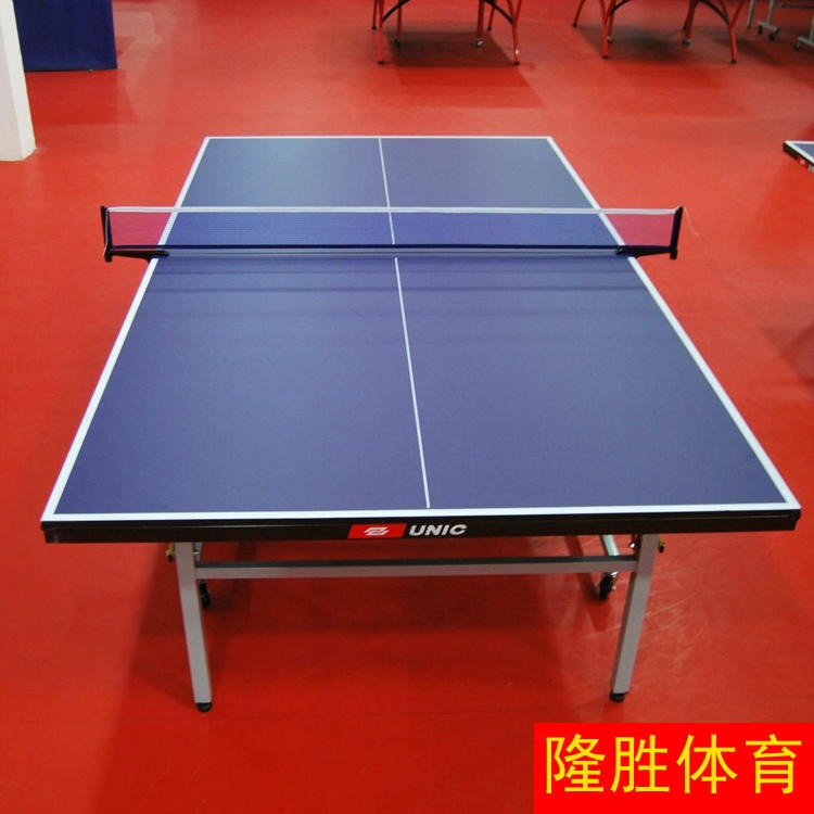 健身乒乓球台 价格低 室内乒乓球桌 隆胜体育 厂家供应 量大优惠
