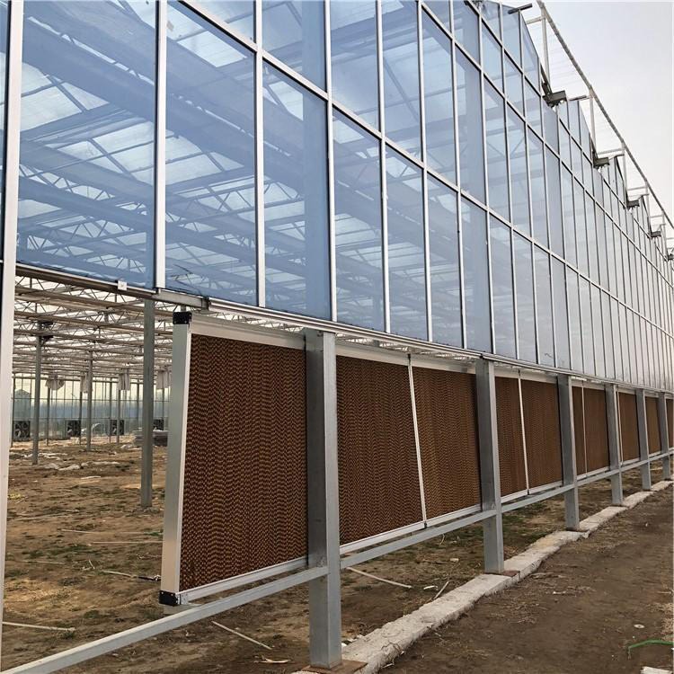 博伟 BW 智能温室 玻璃温室 连栋温室建设 品质保证
