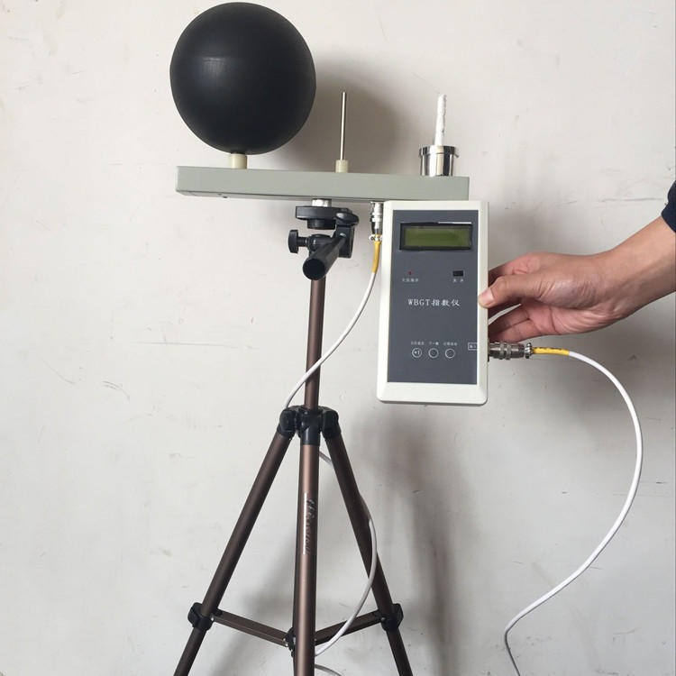 WBGT指数仪 职业卫生检测可用的WBGT-2006湿球黑球温度指数仪
