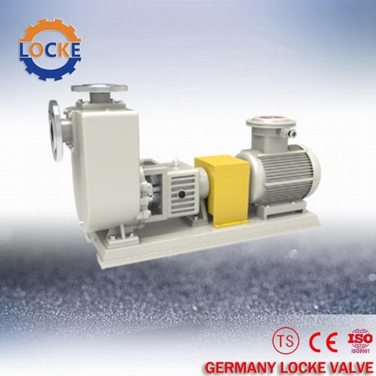 LTK进口化工离心自吸泵 全国供应德国洛克LOCKE 化工离心自吸泵