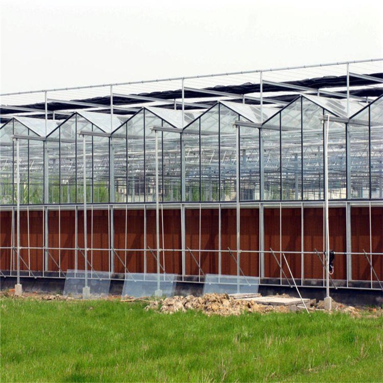 博伟 遮阳大棚   玻璃温室 农用大棚 现代蔬菜大棚
