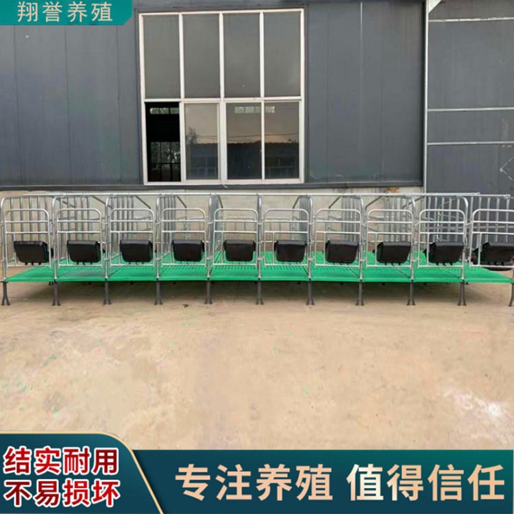 母猪定位栏 猪厂养猪设备限位栏 猪用单体双体产床保育床 翔誉养殖场器械