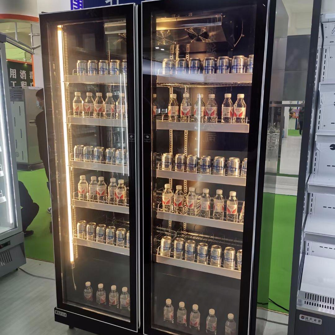 铝合金展示柜 便利店玻璃门冰柜 平头展示柜   工厂直供 未来雪冷柜 WLX-YLG116
