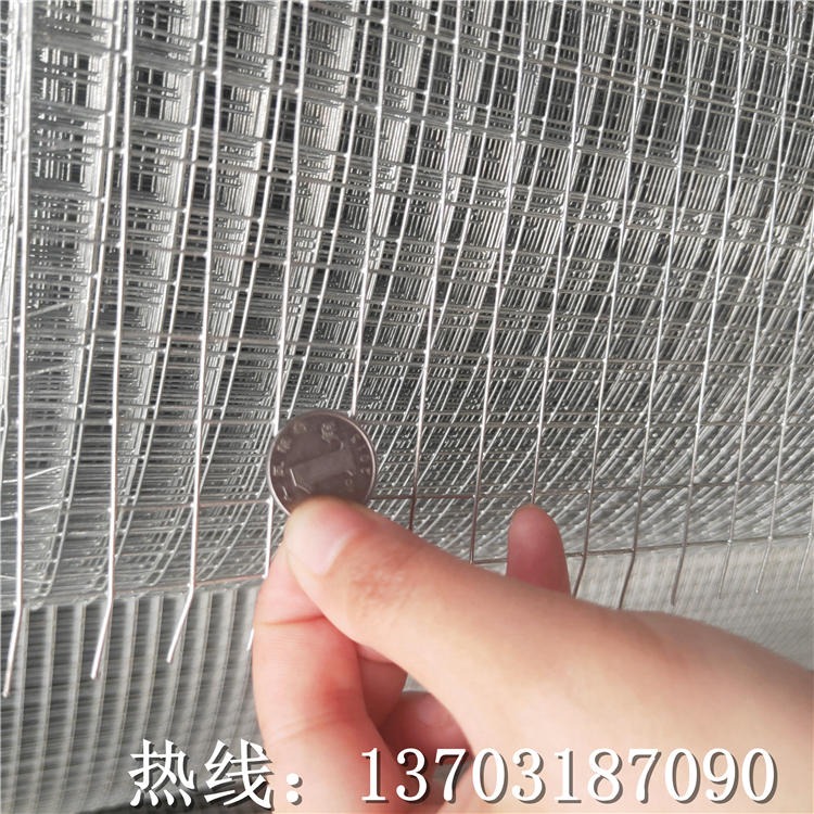 龙润镀锌电焊网养殖丝网围栏热镀锌鸡笼兔笼铁丝网电焊网丝网围栏外贸图片
