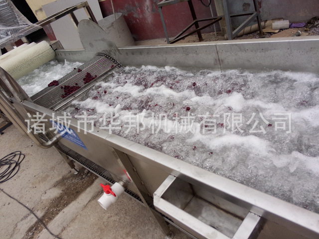 草莓水果蔬菜清洗设备 厂家定制 不锈钢食品机械 华邦气泡清洗机