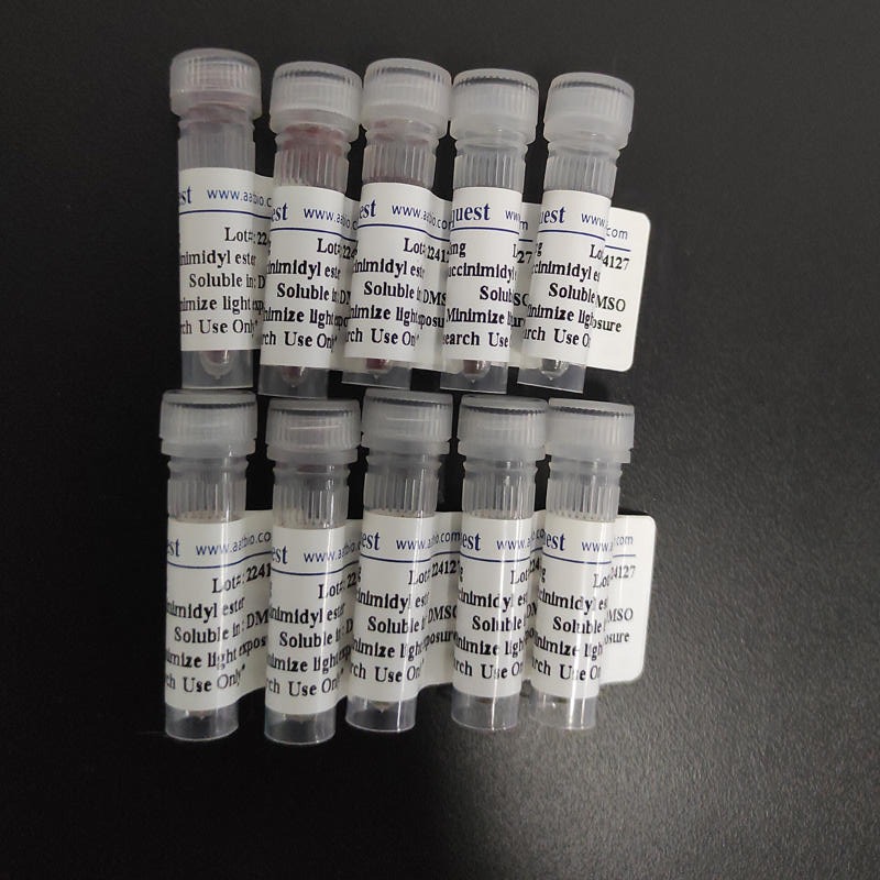 AAT Bioquest 品牌胺反应性荧光探针BG-NH2 货号12560