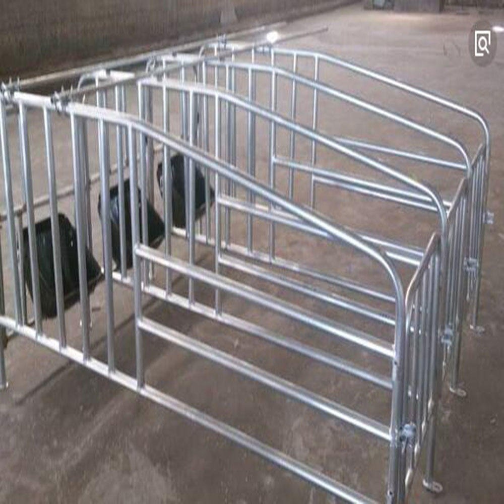 猪场设备60限位栏供应厂家河北世昌畜牧机械