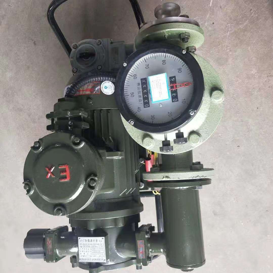 汽油柴油输送泵 HPB防爆滑片泵 鸿海泵业 自吸7米 防爆性能高 品质保证