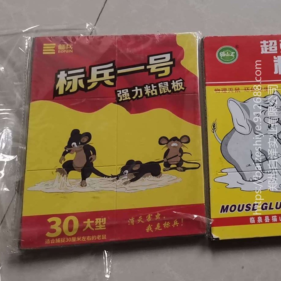 郑州粘鼠板生产厂家 东方白泽粘鼠板批发