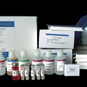 人尿激酶ELISA试剂盒 UK试剂盒 尿激酶试剂盒 美国RB试剂盒图片