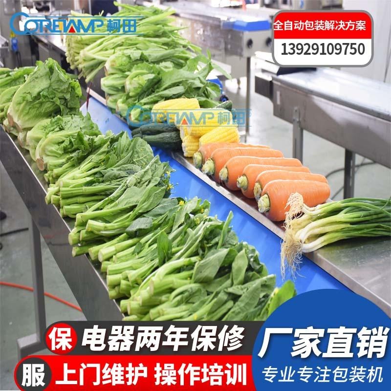 下走膜光栅感应蔬菜包装机  全自动叶菜包装机械  厂家直销