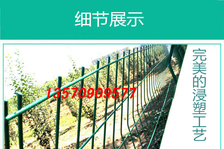 现货双边丝护栏网品质 广州镀锌隔离网设计 汕头铁路围栏网示例图3