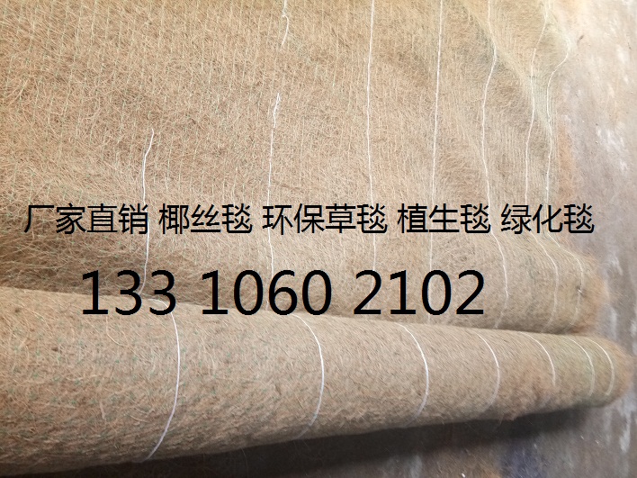 环保植草毯 植物纤维毯 椰丝毯 一体化草毯示例图9