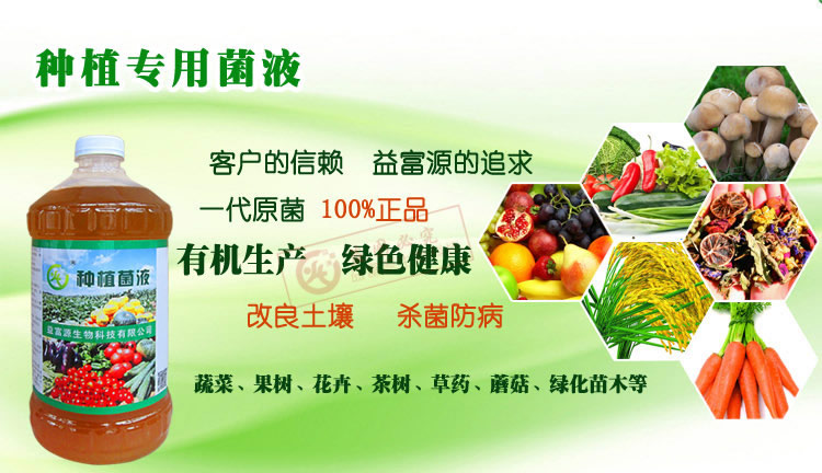 辣椒种植叶面肥料发酵粪水防虫液提高产量安徽蚌埠示例图1