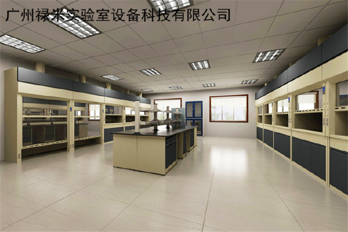 广东实验台生产厂家 禄米实验室设备示例图1