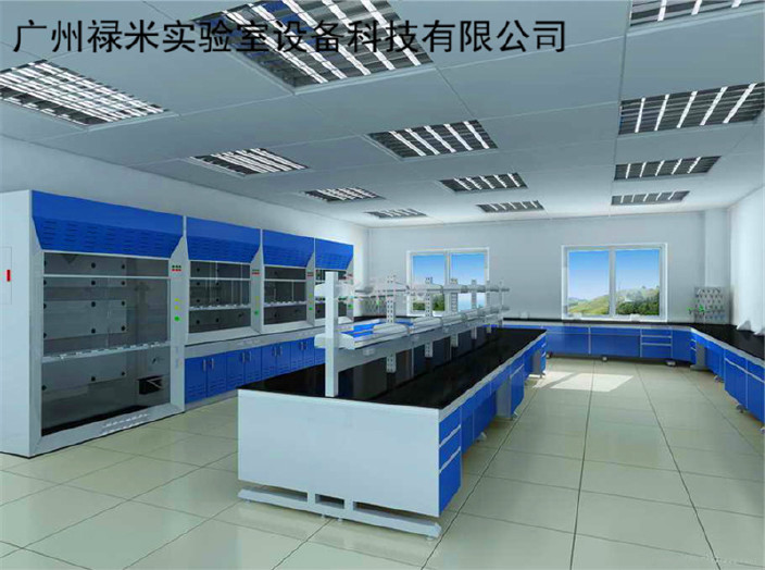 广东实验台生产厂家 禄米实验室设备示例图3