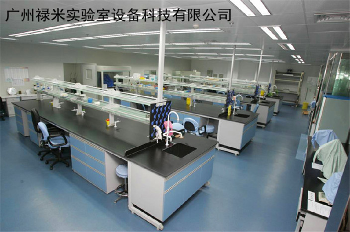 广东实验台生产厂家 禄米实验室设备示例图2