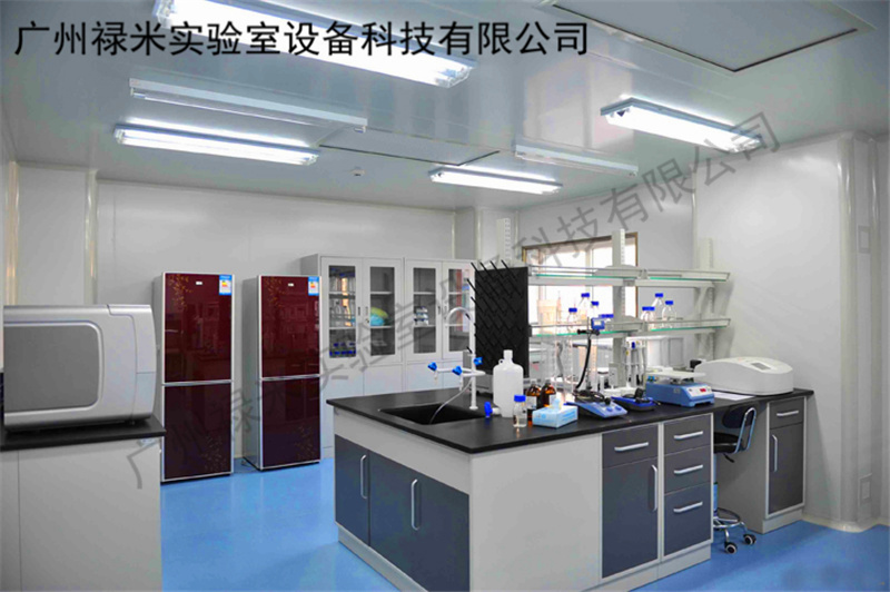 广东广州全钢实验室家具 实验台 边台涤池 角柜生产厂家_通风柜示例图3