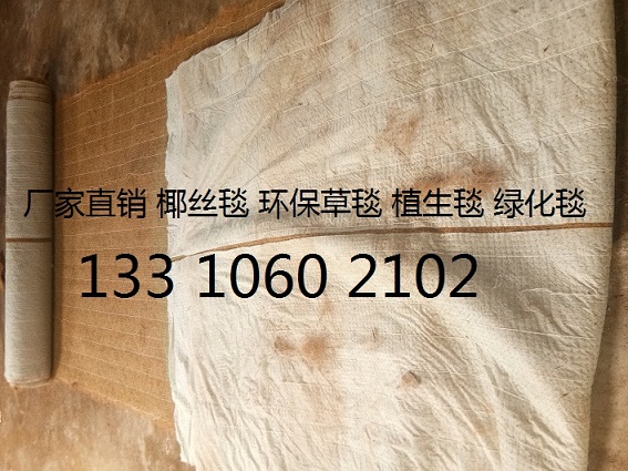 贵州边坡防护环保草毯|环保草毯|护坡草毯价格示例图4