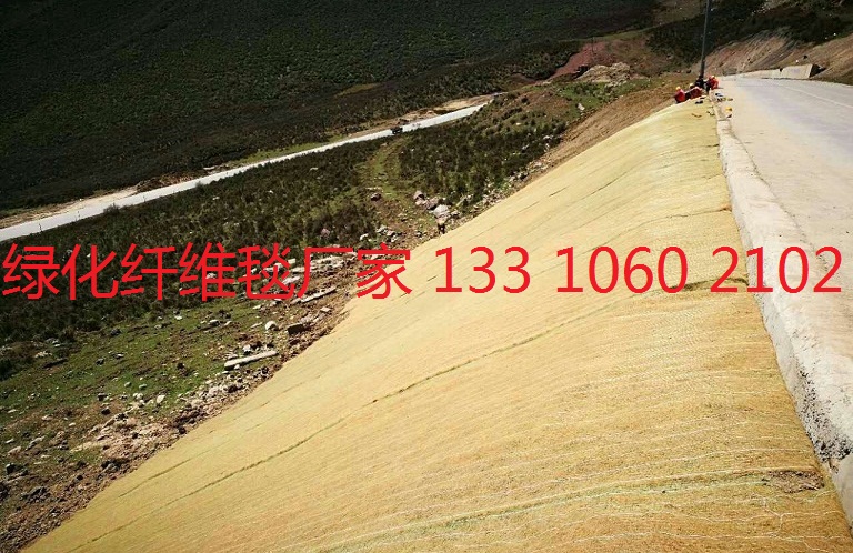 贵州边坡防护环保草毯|环保草毯|护坡草毯价格示例图8