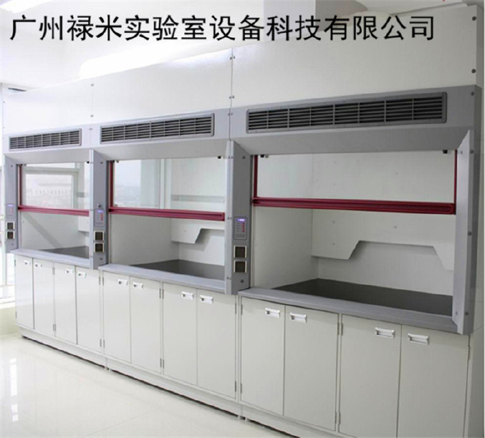 湖南全钢通风柜生产厂家 郴州实验室设备 实验室系统工程 禄米示例图2