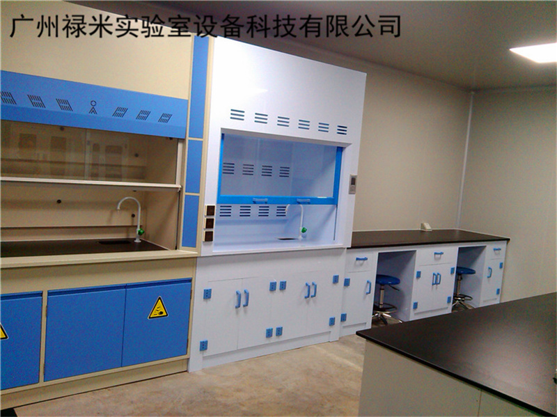 广西PP通风柜生产厂家 禄米实验室设备示例图3