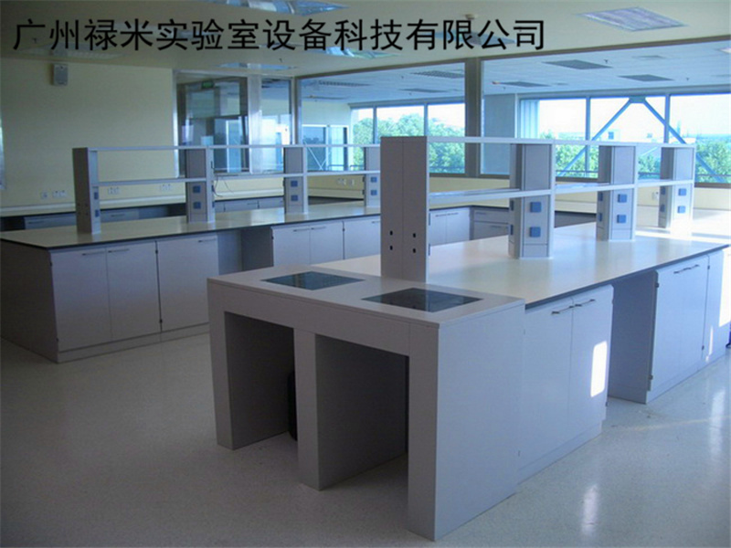 销售实验室全钢天平台，通风柜，实验台示例图1