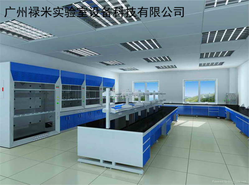 广东步入式通风柜生产厂家 步入式排毒柜 新款实验室设备示例图1