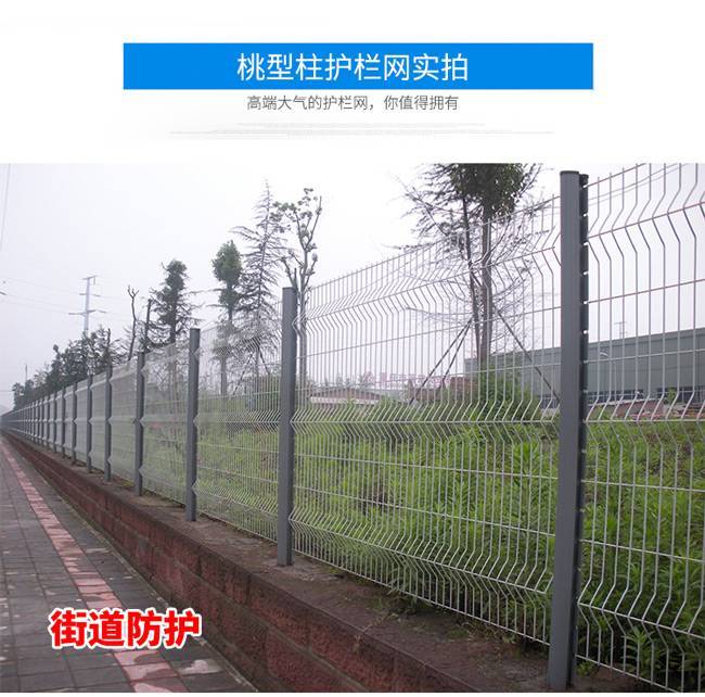 中山水库围栏网价格 桃型柱厂房护栏包施工 佛山围墙围栏示例图3