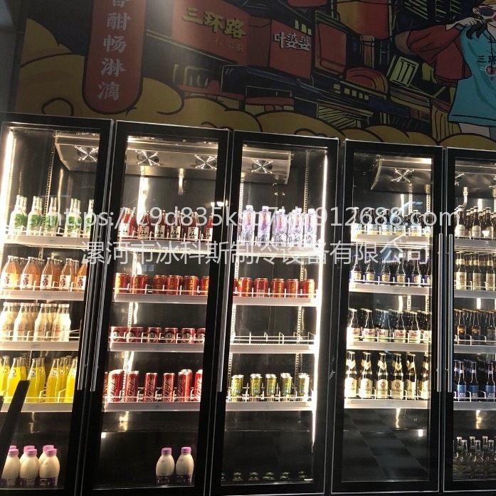 北京全屏展示柜 饮料柜 立式啤酒冷藏保鲜柜 商用双门冰箱 三门冷柜 未来雪冷柜WLX-QP-02图片