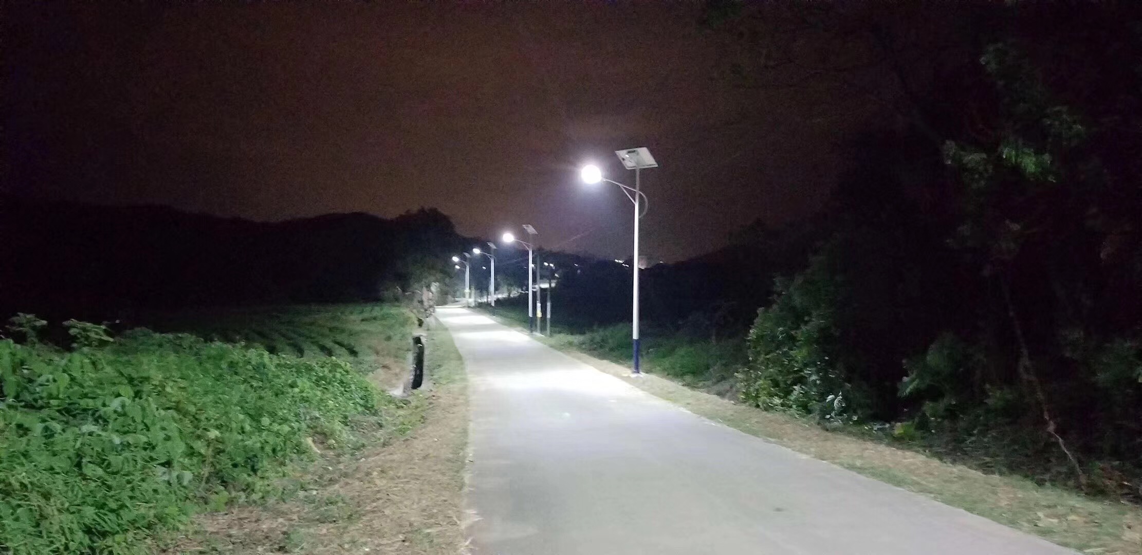 广西桂林市荔浦 30瓦路灯杆 景观灯 可信赖的