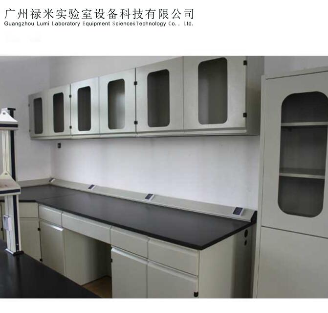 广州全钢吊柜实验台，试剂架，原子吸收罩，禄米实验室厂家直销LUMI-DG129