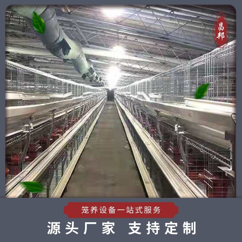 出售肉鸡笼 养殖场鸡笼 昌邦 养殖肉鸡笼出售 常年供应