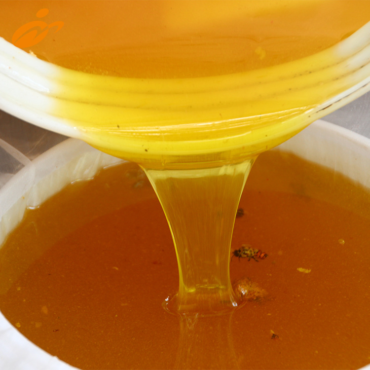 蜜博士 60kg桶装散装蜂蜜土蜂蜜野生蜜 厂家批发全国招代理图片