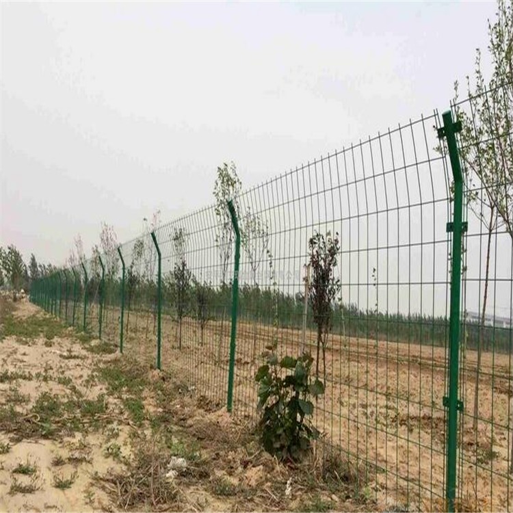 迅鹰专业生产防护网市政绿地  浸塑护栏围栏网  济宁高速公路绿色围栏