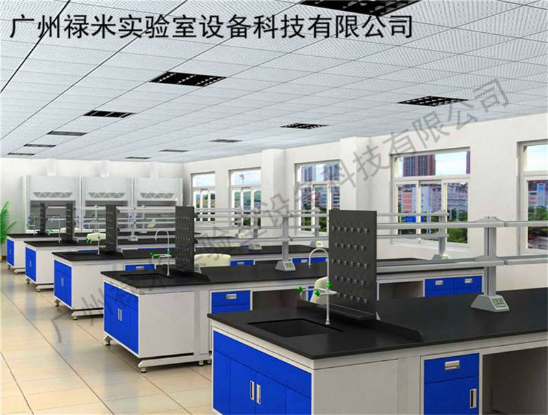 禄米厂家定制实验室家具 全钢 钢木实验台 广州禄米实验室建设LUMI-SYS909I