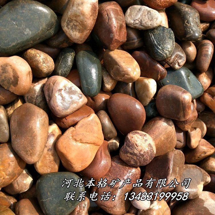 本格厂家供应天然鹅卵石  水洗鹅卵石 机制白麻鹅卵石 天然河滩鹅卵石图片